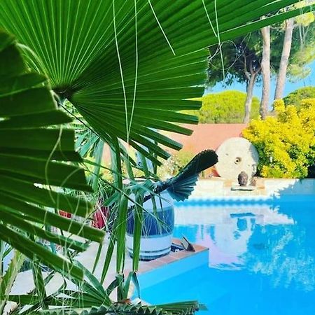 Hebergement Insolite Studio Grau Du Roi Mas Des Marines Piscine Le Grau-du-Roi Eksteriør billede