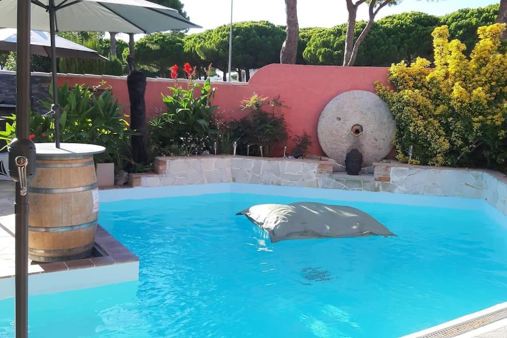Hebergement Insolite Studio Grau Du Roi Mas Des Marines Piscine Le Grau-du-Roi Eksteriør billede